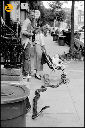 آثار عکاسی لئونارد فرید به مناسبت زادروزش