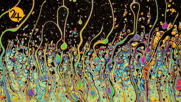 تصاویر برگزیده مسابقه عکاسی کلوزآپ ۲۰۲۱