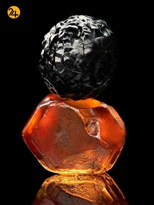 تصاویر برگزیده مسابقه عکاسی کلوزآپ ۲۰۲۱