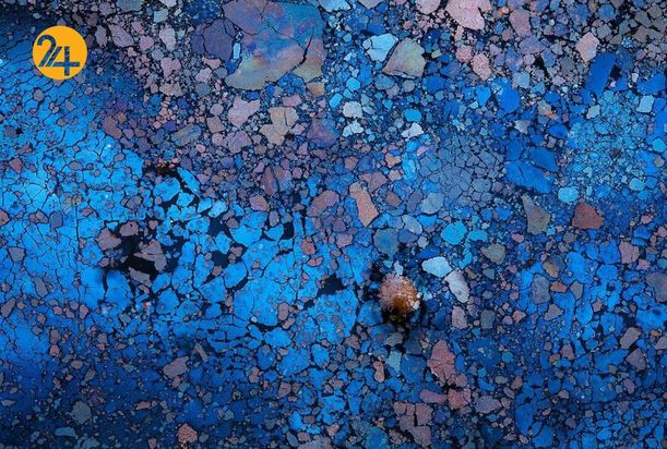 تصاویر برگزیده مسابقه عکاسی کلوزآپ ۲۰۲۱