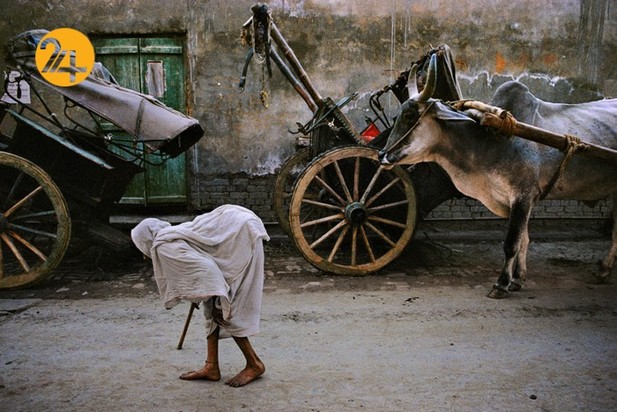 ارتباط انسان‌ها در عکاسی استیومک کوری