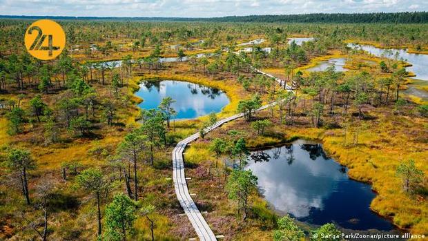 پادشاه فصول در طبیعت اروپا