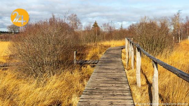 پادشاه فصول در طبیعت اروپا