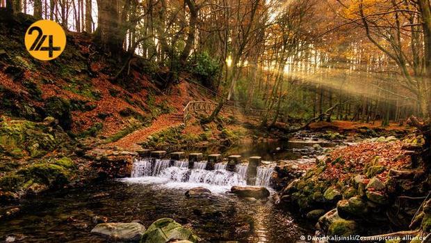 پادشاه فصول در طبیعت اروپا