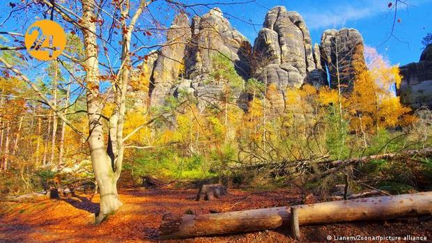 پادشاه فصول در طبیعت اروپا