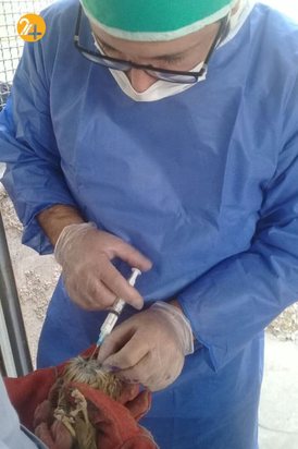 واکسیناسیون پرندگان مرکز بازپروری حیات وحش پردیسان