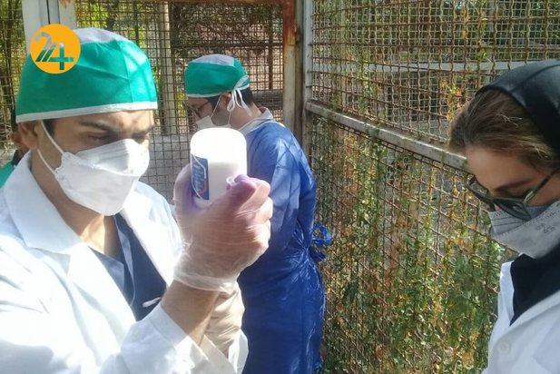 واکسیناسیون پرندگان مرکز بازپروری حیات وحش پردیسان