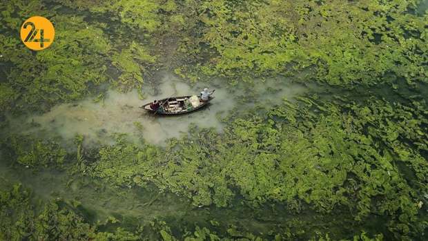 برندگان یهترین عکس مسابقه زیست محیطی۲۰۲۱