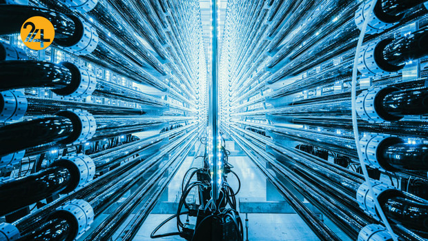 برندگان یهترین عکس مسابقه زیست محیطی۲۰۲۱