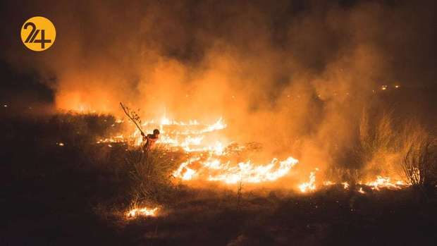 برندگان یهترین عکس مسابقه زیست محیطی۲۰۲۱