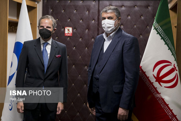 دیدار مدیر کل آژانس بین المللی انرژی اتمی با محمد اسلامی