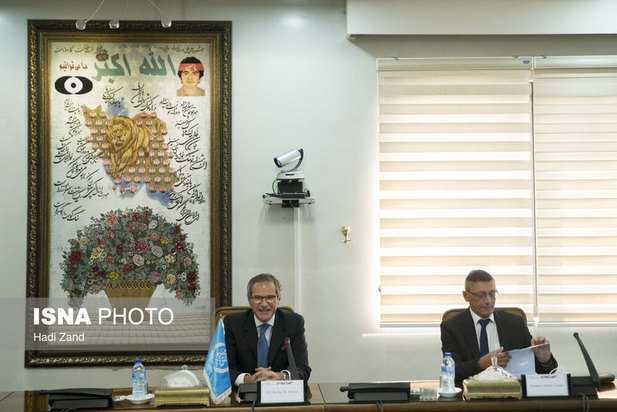 دیدار مدیر کل آژانس بین المللی انرژی اتمی با محمد اسلامی