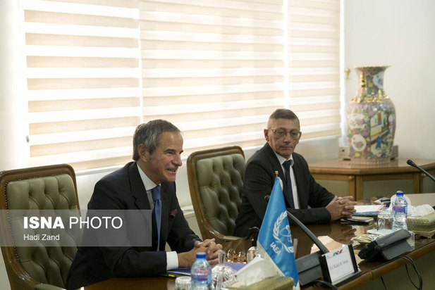 دیدار مدیر کل آژانس بین المللی انرژی اتمی با محمد اسلامی