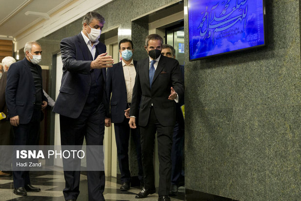 دیدار مدیر کل آژانس بین المللی انرژی اتمی با محمد اسلامی