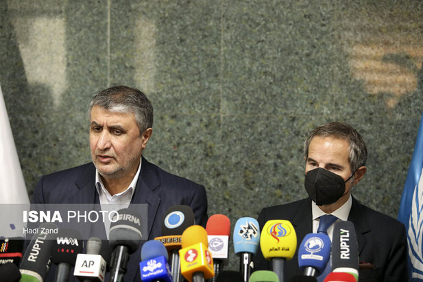 دیدار مدیر کل آژانس بین المللی انرژی اتمی با محمد اسلامی