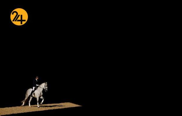 بهترین تصاویر حیات وحش ۲۰۲۱