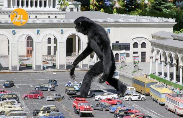 بهترین تصاویر حیات وحش ۲۰۲۱