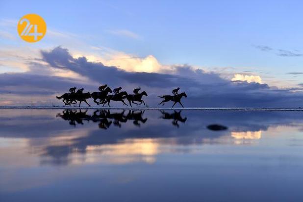 بهترین تصاویر حیات وحش ۲۰۲۱