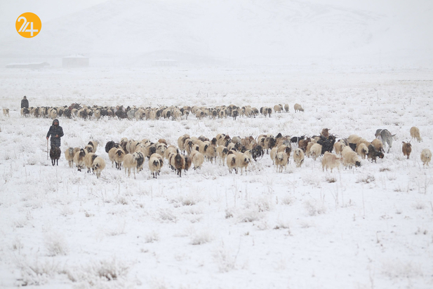 ترکیه سفیدپوش شد
