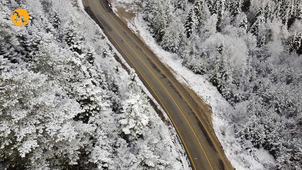 ترکیه سفیدپوش شد