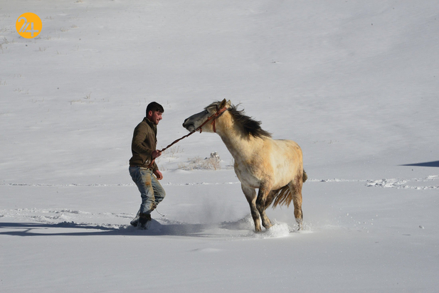 ترکیه سفیدپوش شد