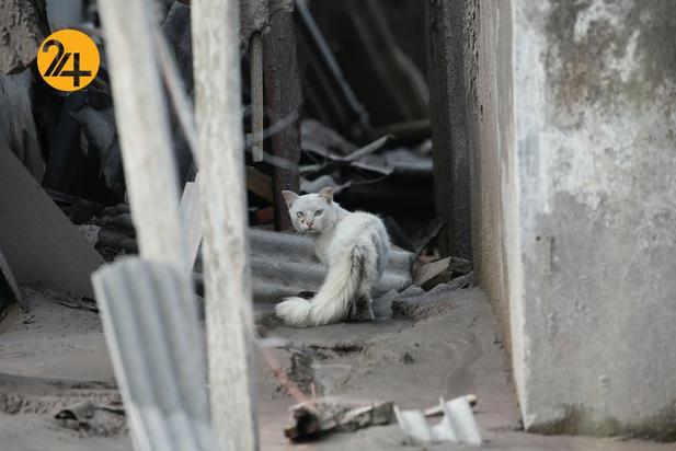 فوران آتشفشان در اندونزی