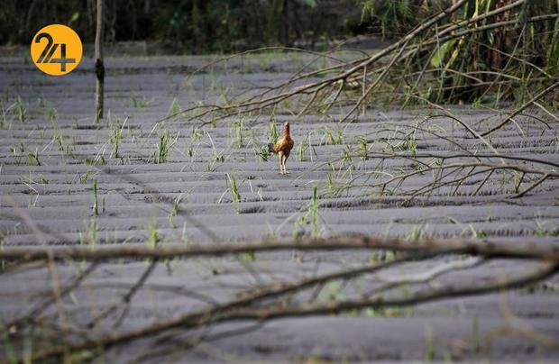 فوران آتشفشان در اندونزی