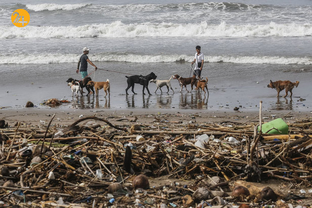 سواحل آلوده جزیره زیبای بالی