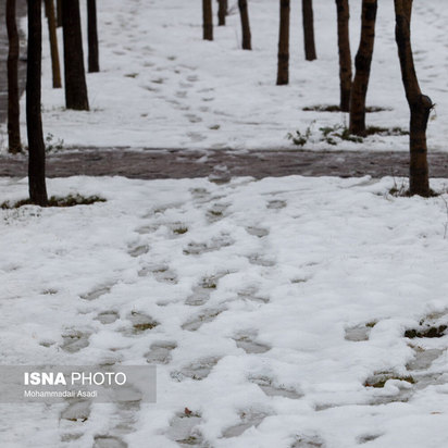 نخستین برف پاییزی تهران