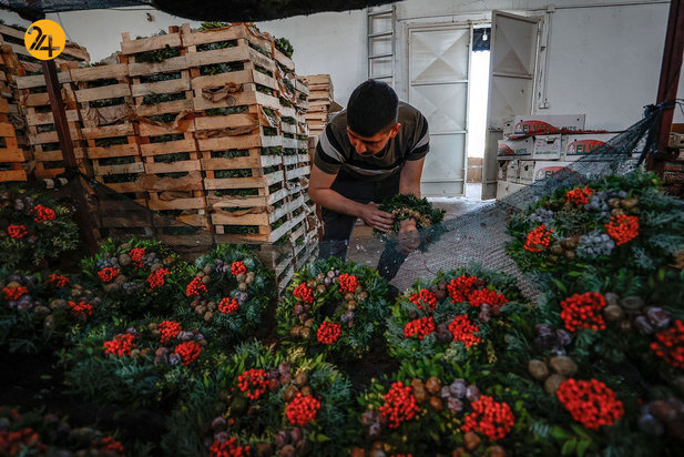 صادرات تاج‌های گل کریسمس از آنتالیا