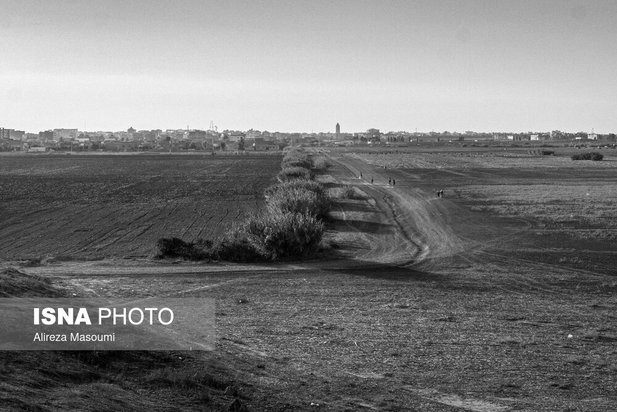 مسابقات اسب دوانی گلستان