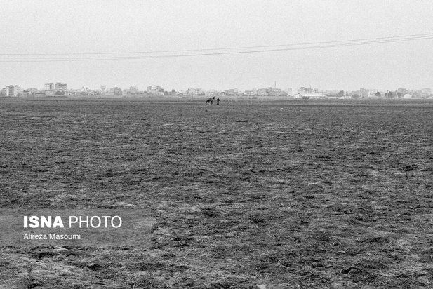 مسابقات اسب دوانی گلستان