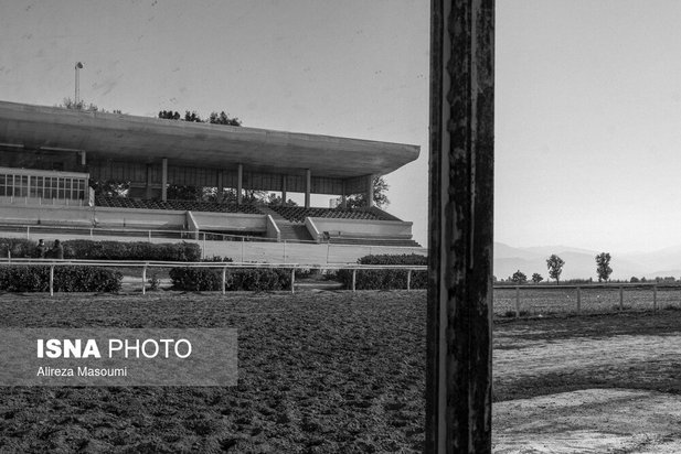 مسابقات اسب دوانی گلستان