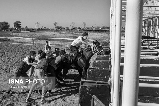 مسابقات اسب دوانی گلستان