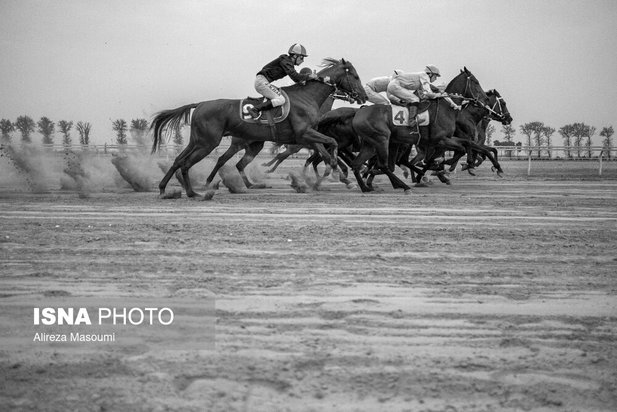 مسابقات اسب دوانی گلستان
