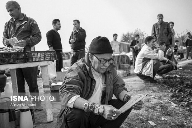 مسابقات اسب دوانی گلستان