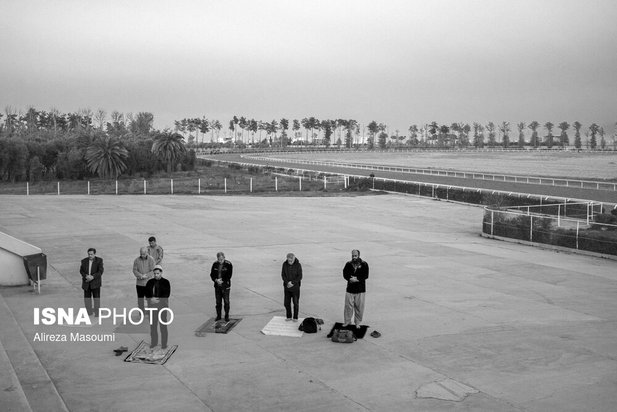 مسابقات اسب دوانی گلستان