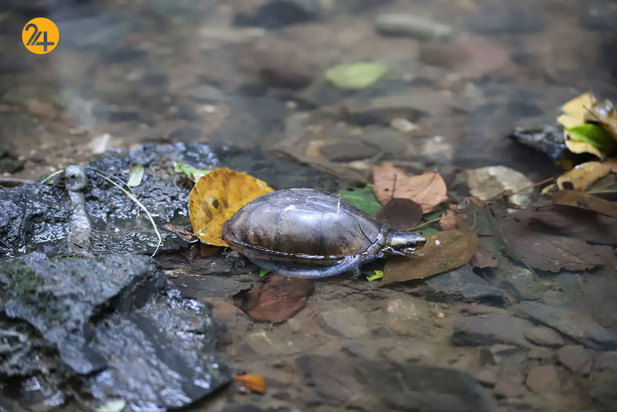 تصاویری جالب و دیدنی از حیات محش