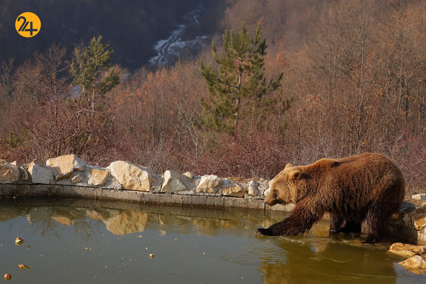 تصاویری جالب و دیدنی از حیات محش