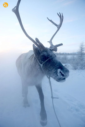 تصاویری جالب و دیدنی از حیات محش