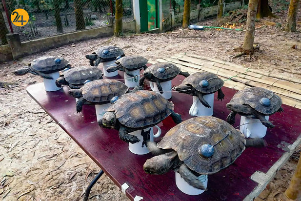 تصاویری جالب و دیدنی از حیات محش