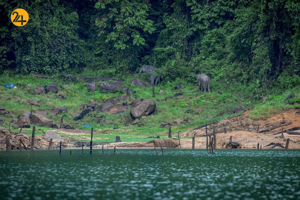 تصاویری جالب و دیدنی از حیات محش