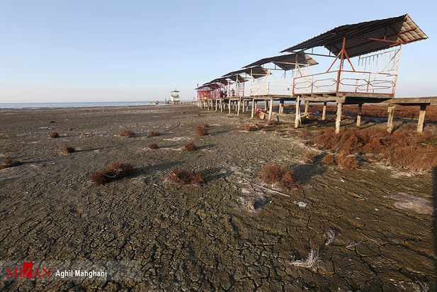 خلیج گرگان در حال مرداب شدن