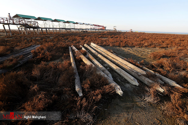 خلیج گرگان در حال مرداب شدن