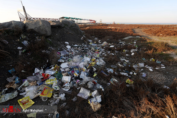 خلیج گرگان در حال مرداب شدن