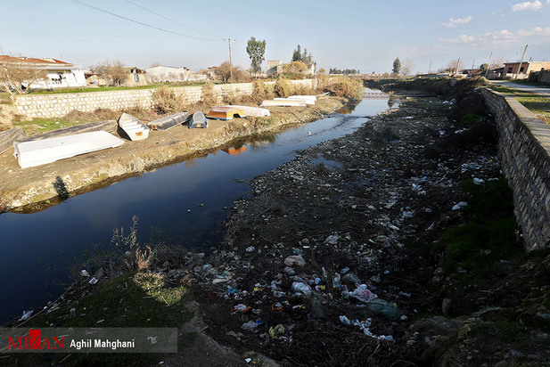 خلیج گرگان در حال مرداب شدن