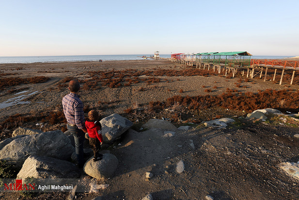 خلیج گرگان در حال مرداب شدن