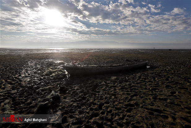 خلیج گرگان در حال مرداب شدن