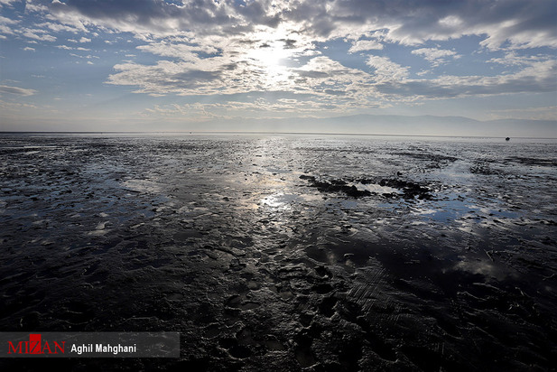 خلیج گرگان در حال مرداب شدن