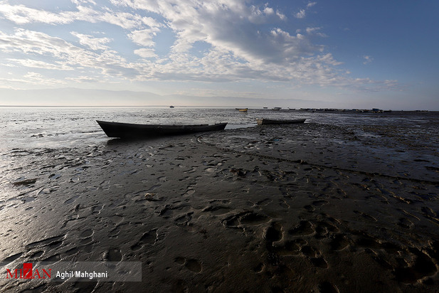 خلیج گرگان در حال مرداب شدن